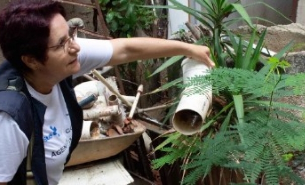 Reforço de combate ao Aedes aegypti em Minas Gerais